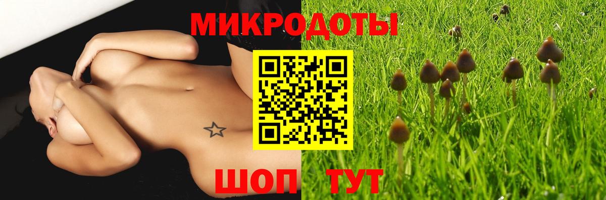 Галлюциногенные грибы Psilocybe Красный Сулин